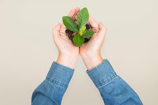 Vivere Green: come l'Ecosostenibilità sta cambiando le nostre abitudini